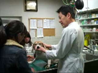 �O��s��l���w�Z�摜�R