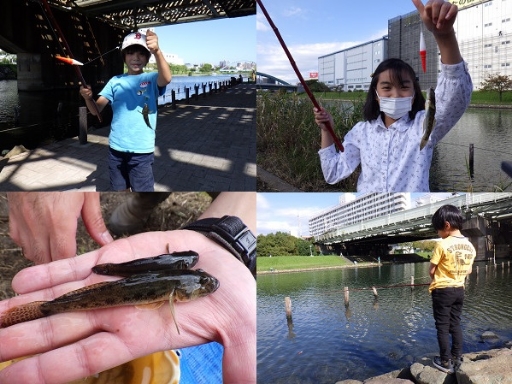 わくわくハゼ釣り教室(10月「あそびの達人」)の体験イメージ