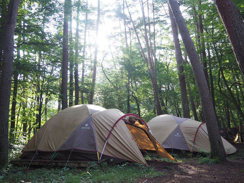 夏休み子どもサマーキャンプイメージ1枚目