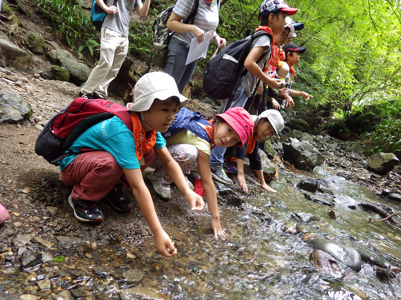高尾わくわくハイキングイメージ1枚目