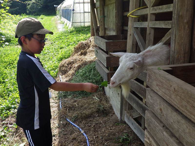 みんなで作る！子ども村イメージ1枚目